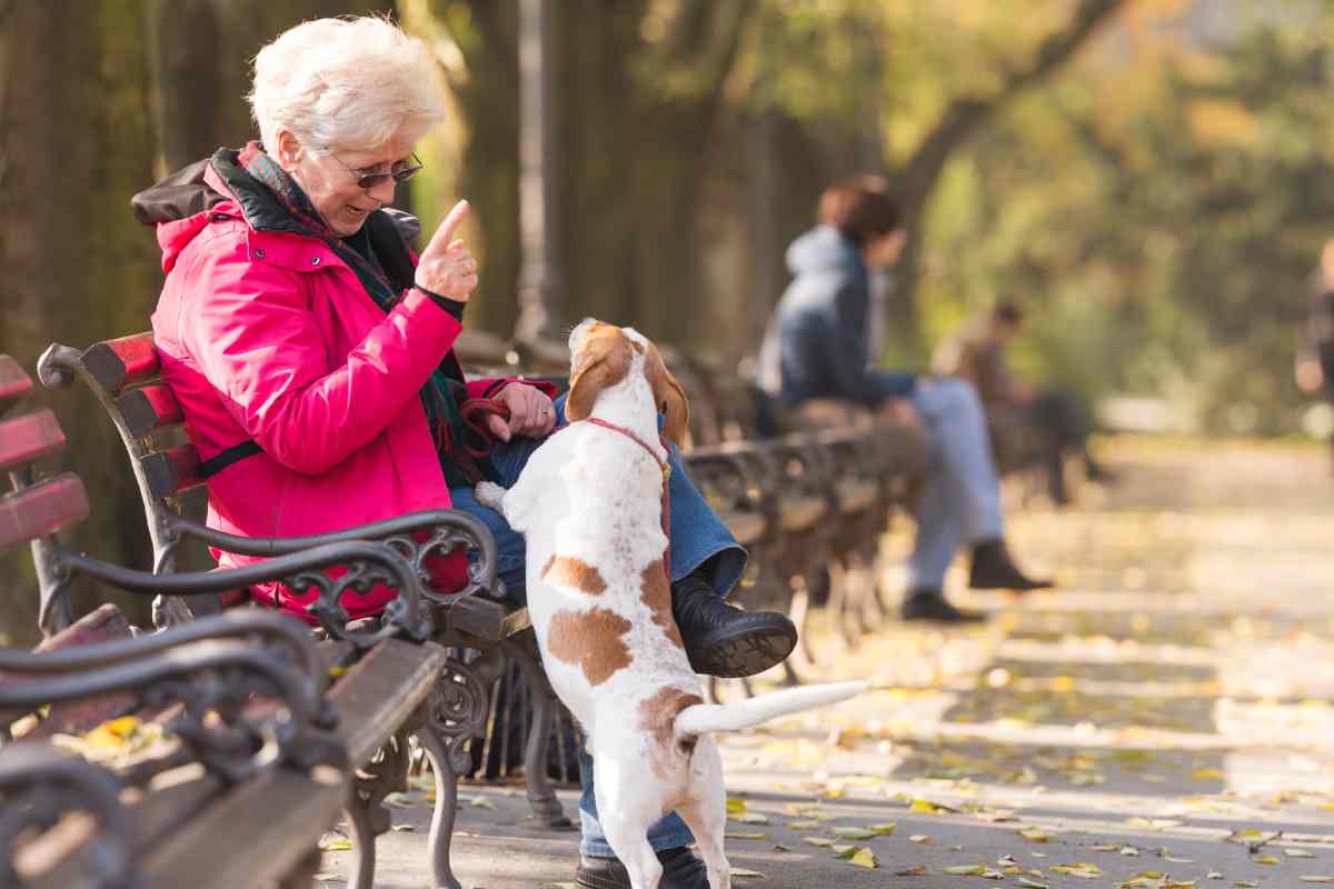 donna sulla panchina con il cane