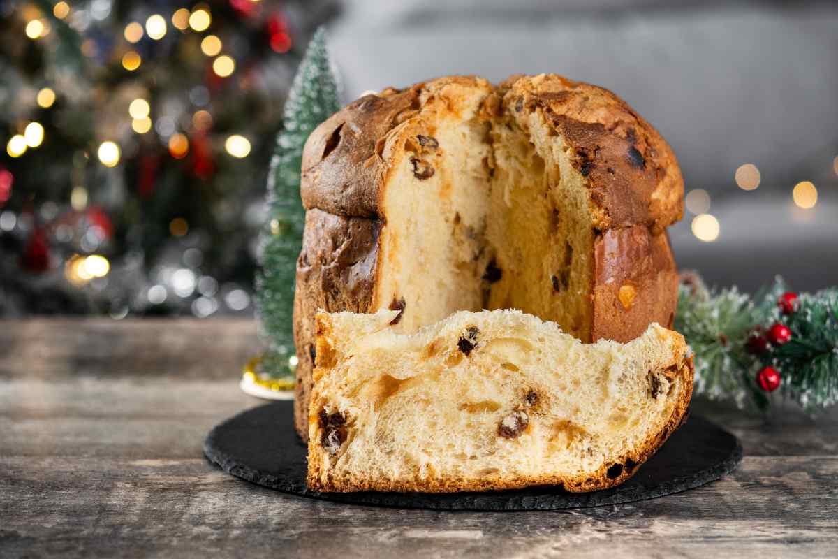 panettone