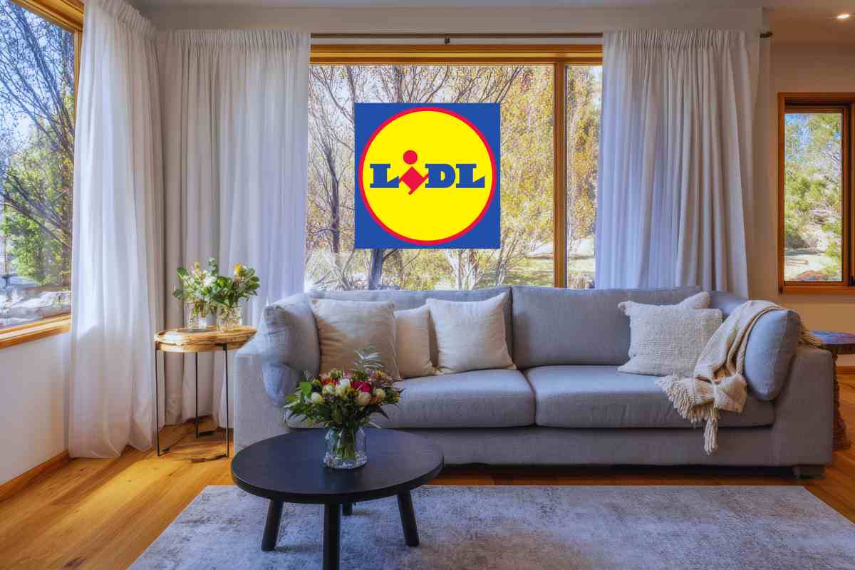 tocco di lusso al tuo salotto con ultima offerta Lidl