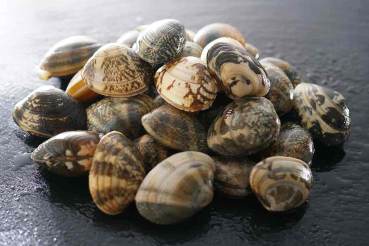 Spaghetti alle vongole