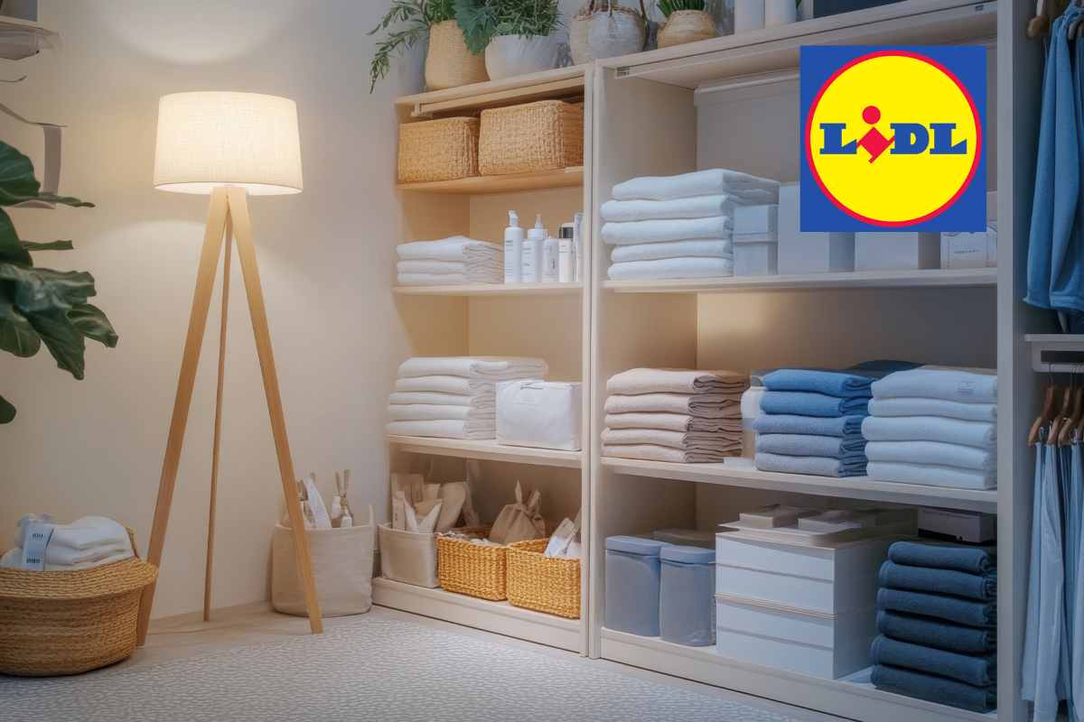 il box Lidl che arreda e organizza