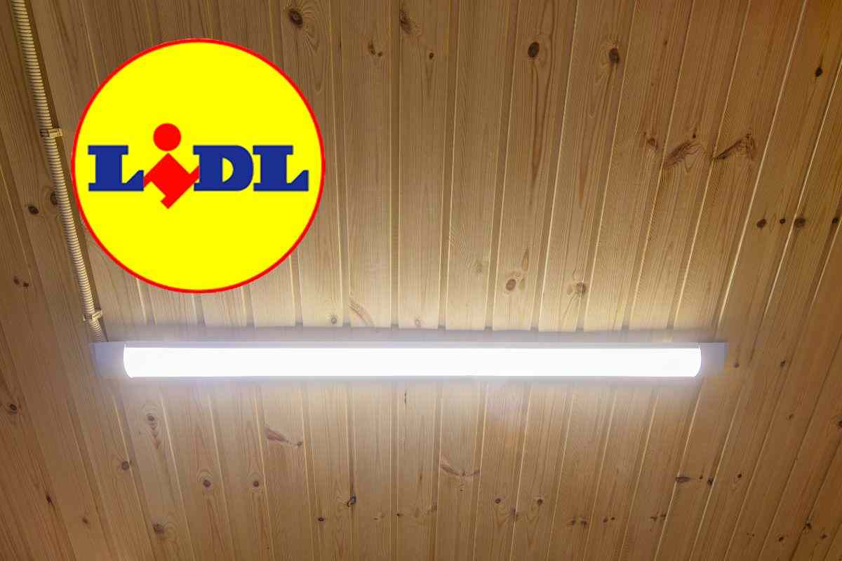 lampada led lidl
